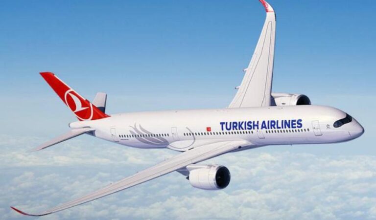 2023 yılının en iyi havayolu şirketleri belli oldu: THY de listede